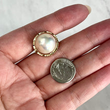 Load image into Gallery viewer, 14K Yellow Gold Mabe Pearl Omega Back Earrings