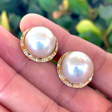 Load image into Gallery viewer, 14K Yellow Gold Mabe Pearl Omega Back Earrings